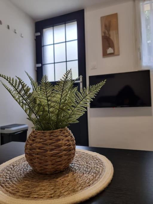 Agreable Logement / Netflix Saint-Pierre-des-Corps Kültér fotó